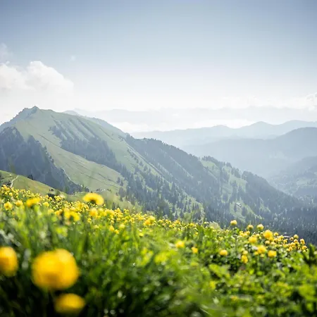 Allgaeuliebe Διαμέρισμα Oberstaufen
